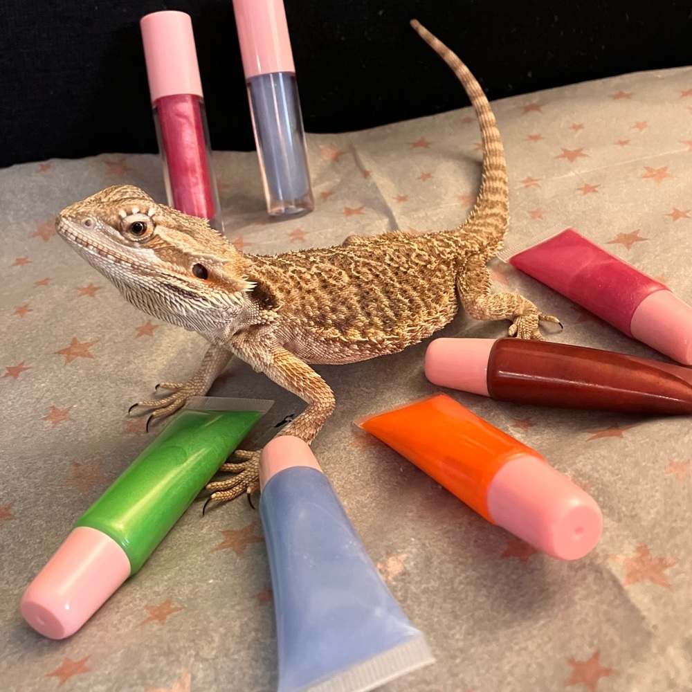 Lip Glosses With Meaning! Named for the women in my life past, present and pets